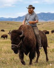 Josh Buffalo